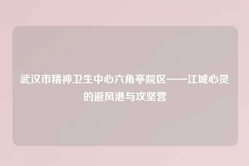 武汉市精神卫生中心六角亭院区——江城心灵的避风港与攻坚营