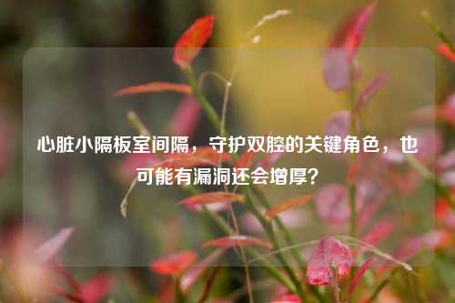 心脏小隔板室间隔，守护双腔的关键角色，也可能有漏洞还会增厚？
