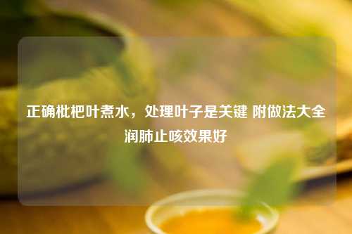 正确枇杷叶煮水，处理叶子是关键 附做法大全润肺止咳效果好