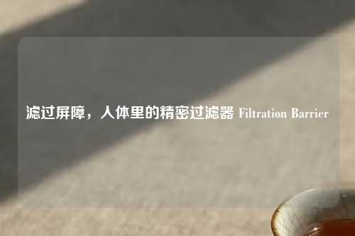 滤过屏障，人体里的精密过滤器 Filtration Barrier