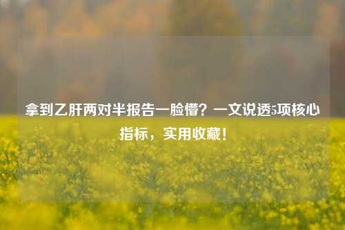 拿到乙肝两对半报告一脸懵？一文说透5项核心指标，实用收藏！