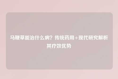 马鞭草能治什么病？传统药用+现代研究解析其疗效优势