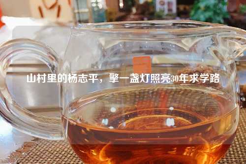 山村里的杨志平，擎一盏灯照亮30年求学路
