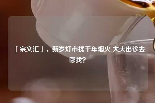 「宗文汇」，新岁灯市揉千年烟火 大夫出诊去哪找？