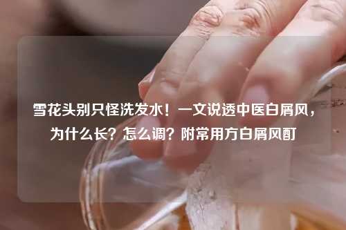 雪花头别只怪洗发水！一文说透中医白屑风，为什么长？怎么调？附常用方白屑风酊