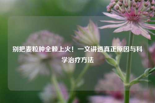 别把麦粒肿全赖上火!一文讲透真正原因与科学治疗