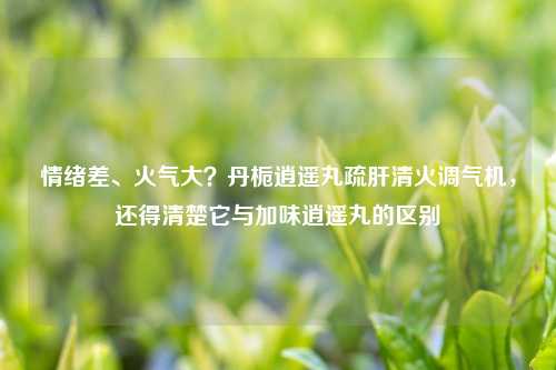 情绪差、火气大？丹栀逍遥丸疏肝清火调气机，还得清楚它与加味逍遥丸的区别