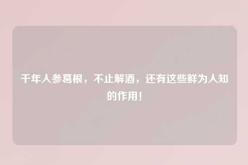 千年人参葛根，不止解酒，还有这些鲜为人知的作用！