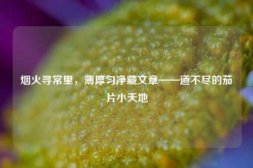 烟火寻常里，薄厚匀净藏文章——道不尽的茄片小天地