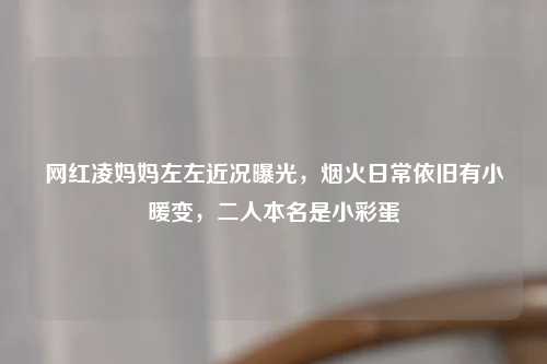 网红凌妈妈左左近况曝光，烟火日常依旧有小暖变，二人本名是小彩蛋
