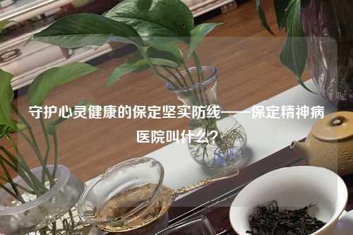 守护心灵健康的保定坚实防线——保定精神病医院叫什么？