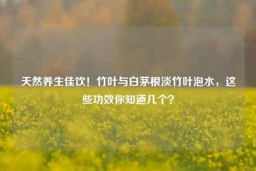 天然养生佳饮！竹叶与白茅根淡竹叶泡水，这些功效你知道几个？