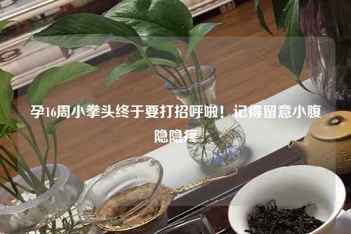 孕16周小拳头终于要打招呼啦！记得留意小腹隐隐疼