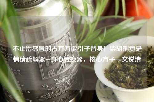 不止治感冒的古方万能引子替身！柴胡剂竟是情绪疏解器+身心转换器，核心方子一文说清