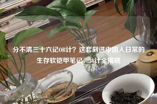 分不清三十六记OR计？这套刻进中国人日常的生存软铠甲笔记，36计全揭晓