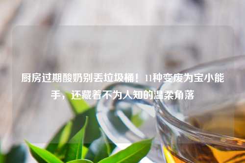 厨房过期酸奶别丢垃圾桶！11种变废为宝小能手，还藏着不为人知的温柔角落