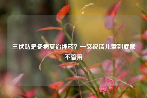 三伏贴是冬病夏治神药？一文说清儿童到底管不管用