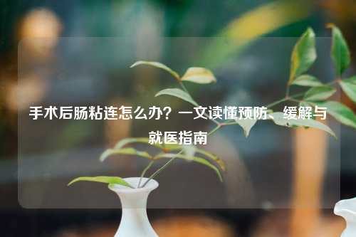 手术后肠粘连怎么办？一文读懂预防、缓解与就医指南
