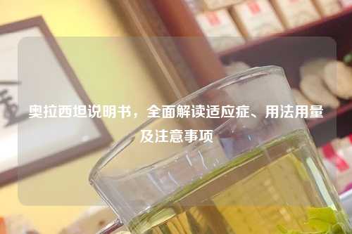 奥拉西坦说明书，全面解读适应症、用法用量及注意事项