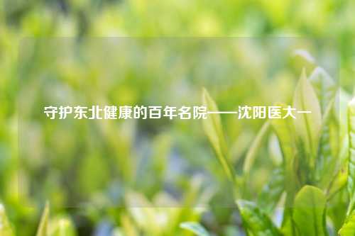守护东北健康的百年名院——沈阳医大一