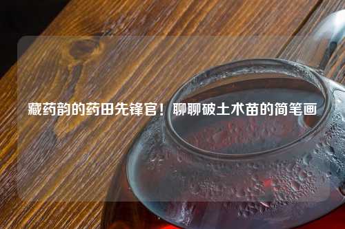 藏药韵的药田先锋官！聊聊破土术苗的简笔画
