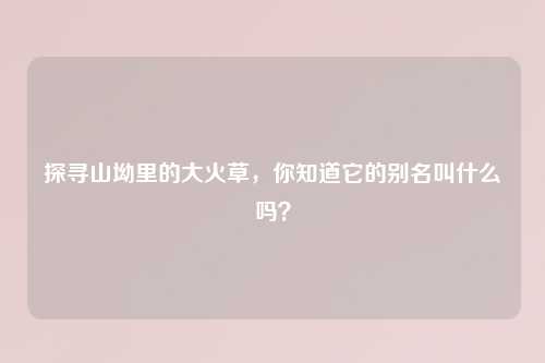 探寻山坳里的大火草，你知道它的别名叫什么吗？
