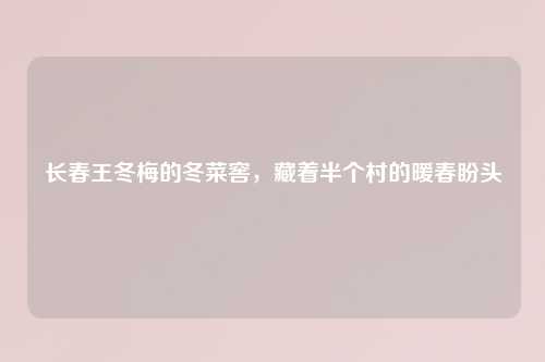 长春王冬梅的冬菜窖，藏着半个村的暖春盼头