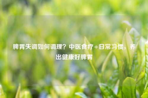 脾胃失调如何调理？中医食疗+日常习惯，养出健康好脾胃