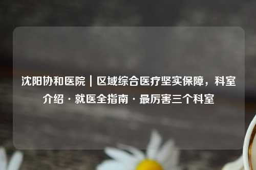 沈阳协和医院｜区域综合医疗坚实保障，科室介绍·就医全指南·最厉害三个科室