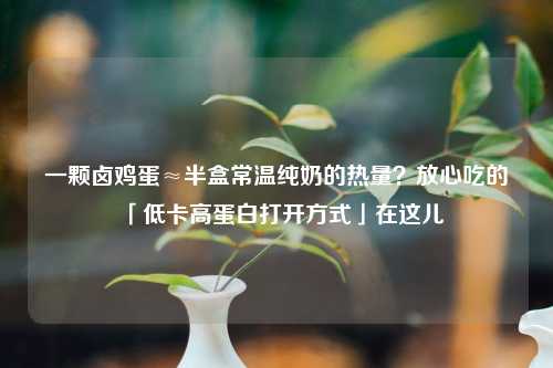 一颗卤鸡蛋≈半盒常温纯奶的热量？放心吃的「低卡高蛋白打开方式」在这儿