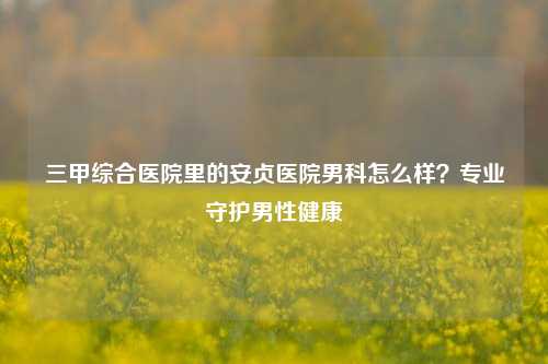 三甲综合医院里的安贞医院男科怎么样？专业守护男性健康
