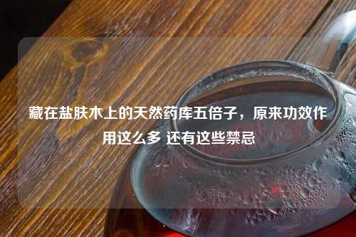 藏在盐肤木上的天然药库五倍子，原来功效作用这么多 还有这些禁忌