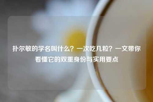 扑尔敏的学名叫什么？一次吃几粒？一文带你看懂它的双重身份与实用要点