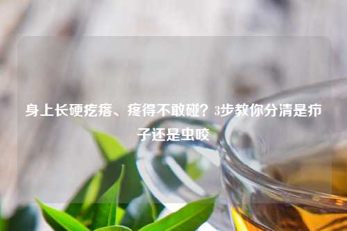 身上长硬疙瘩、疼得不敢碰？3步教你分清是疖子还是虫咬