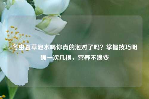冬虫夏草泡水喝你真的泡对了吗？掌握技巧明确一次几根，营养不浪费