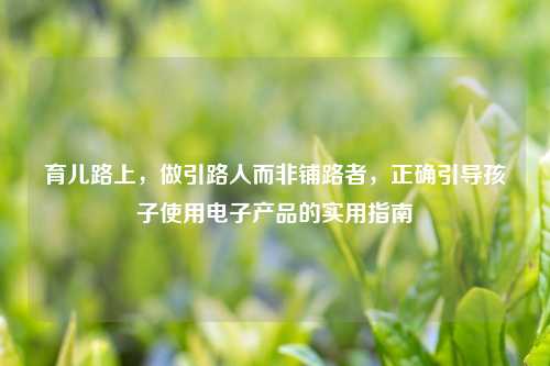 育儿路上，做引路人而非铺路者，正确引导孩子使用电子产品的实用指南