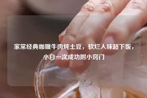 家常经典咖喱牛肉炖土豆，软烂入味超下饭，小白一次成功附小窍门