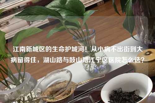 江南新城区的生命护城河！从小病不出街到大病留得住，湖山路与鼓山路江宁区医院怎么选？