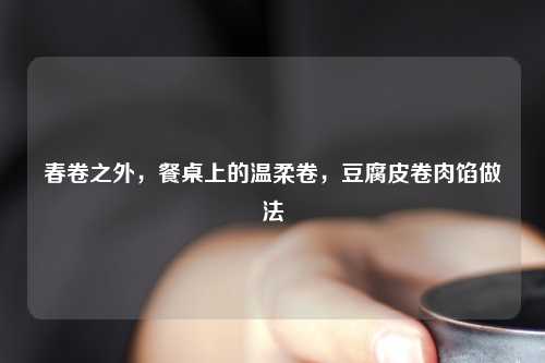 春卷之外，餐桌上的温柔卷，豆腐皮卷肉馅做法