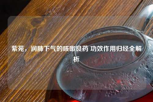 紫苑，润肺下气的咳嗽良药 功效作用归经全解析