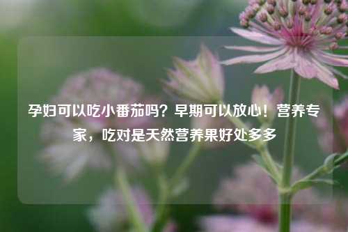孕妇可以吃小番茄吗？早期可以放心！营养专家，吃对是天然营养果好处多多