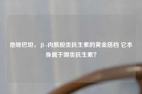 他唑巴坦，β-内酰胺类抗生素的黄金搭档 它本身属于哪类抗生素？