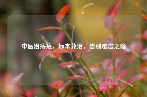 中医治痔疮，标本兼治，告别难言之隐
