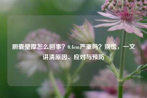 胆囊壁厚怎么回事？0.4cm严重吗？别慌，一文讲清原因、应对与预防