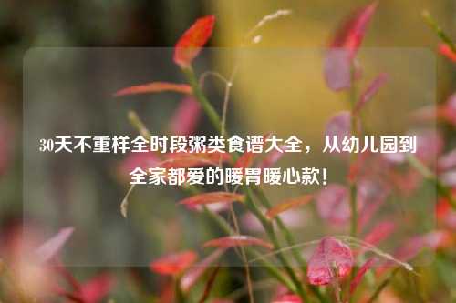 30天不重样全时段粥类食谱大全，从幼儿园到全家都爱的暖胃暖心款！
