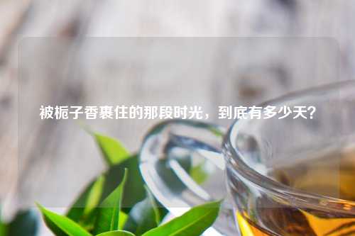 被栀子香裹住的那段时光，到底有多少天？