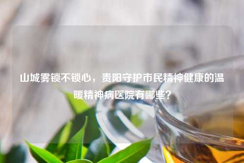 山城雾锁不锁心，贵阳守护市民精神健康的温暖精神病医院有哪些？
