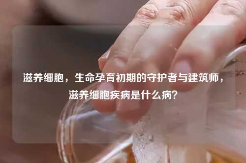 滋养细胞，生命孕育初期的守护者与建筑师，滋养细胞疾病是什么病？