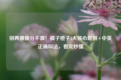 别再傻傻分不清！橘子橙子3大核心区别+中英正确叫法，看完秒懂