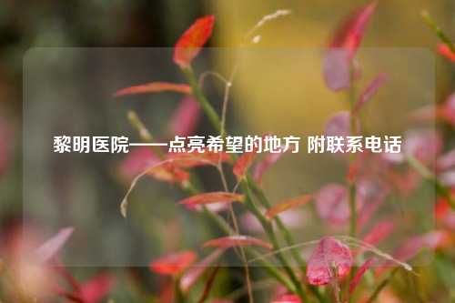 黎明医院——点亮希望的地方 附联系     